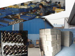 鎖具制造的藝術(shù)與科技 探訪中山市小欖鎮(zhèn)燊和五金制品廠的機(jī)械設(shè)備創(chuàng)新